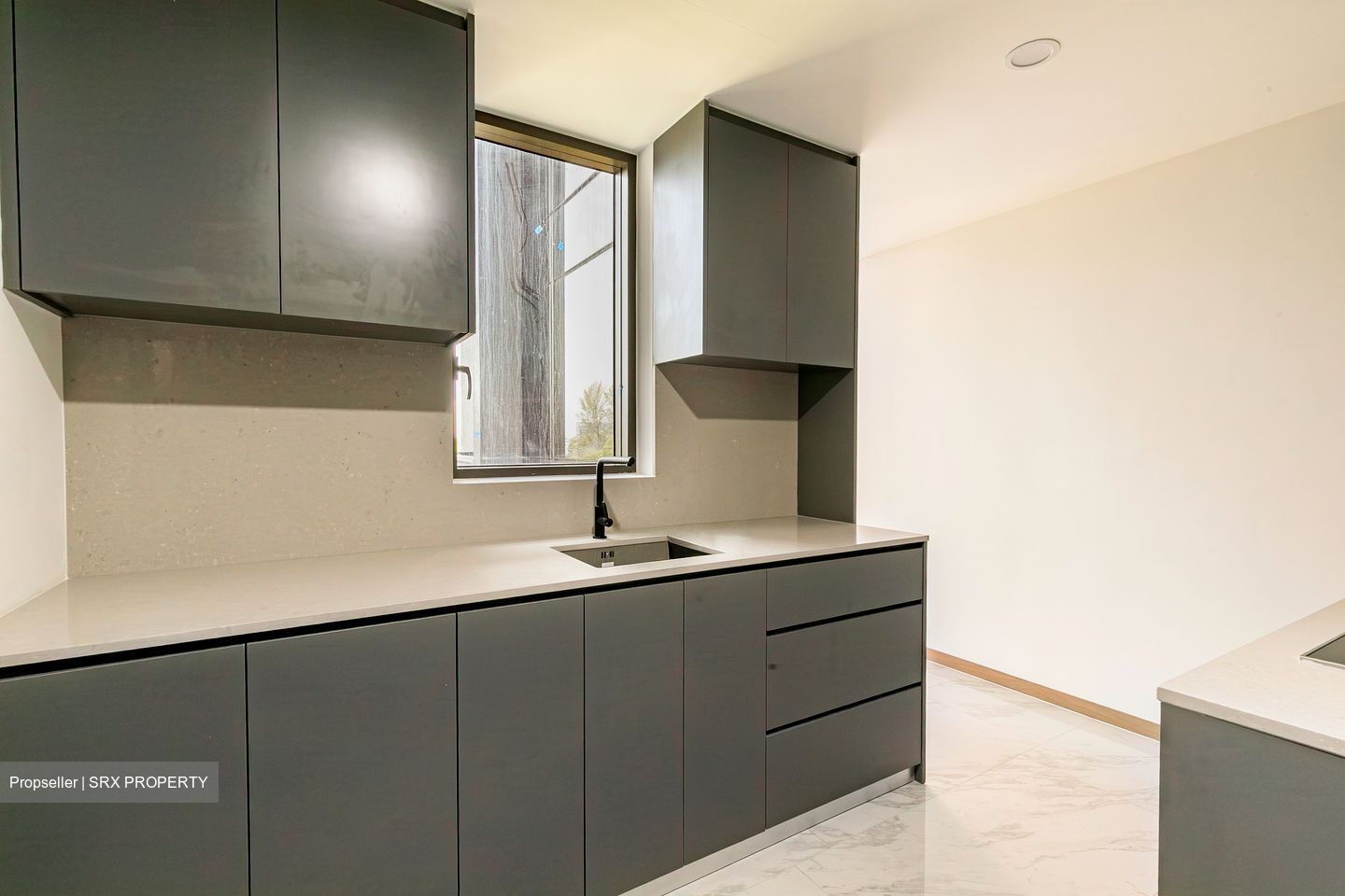 The Landmark (D3), Condominium #539918551